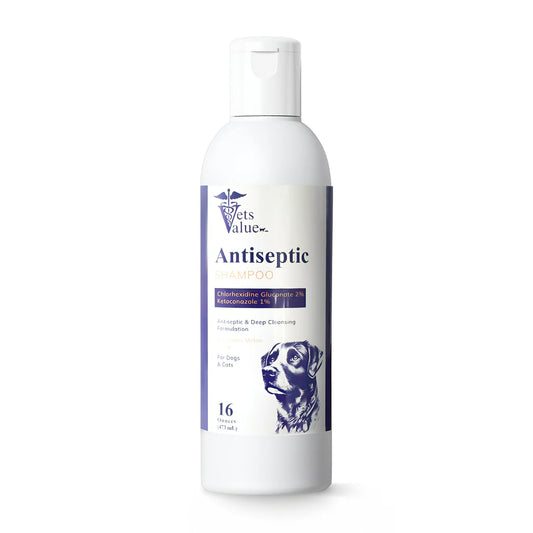 Antiseptic & Antifungal Medicated Topical Shampoo for Dogs, Cats, Horses - 12 oz